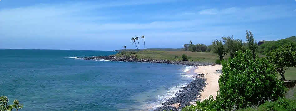 Kalua Joi Molokai